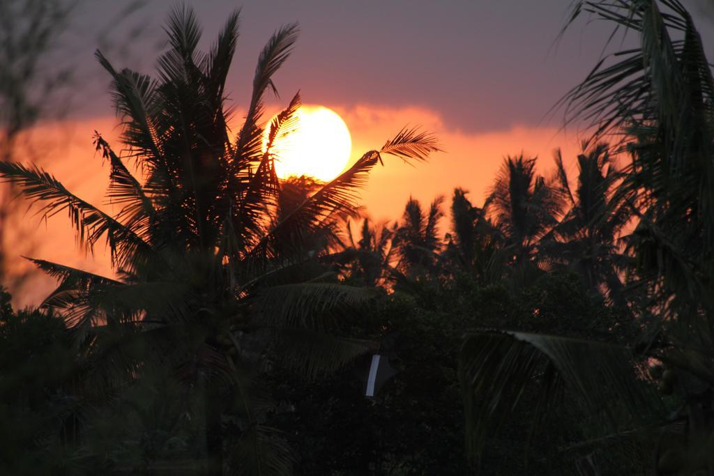 Frangipani Villas Ubud Zewnętrze zdjęcie