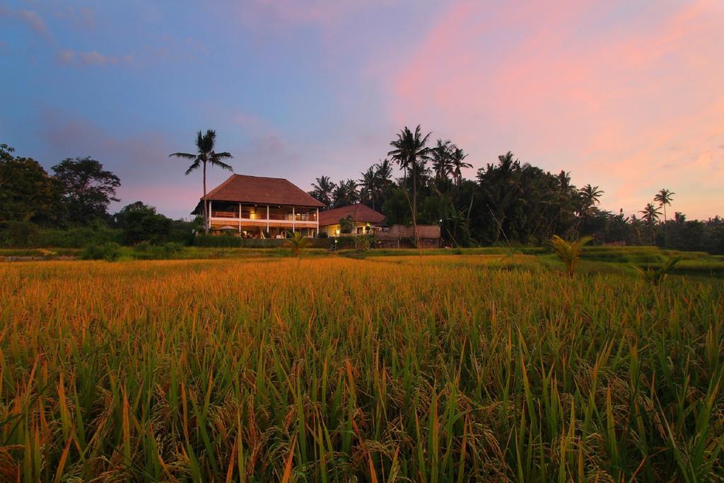 Frangipani Villas Ubud Zewnętrze zdjęcie