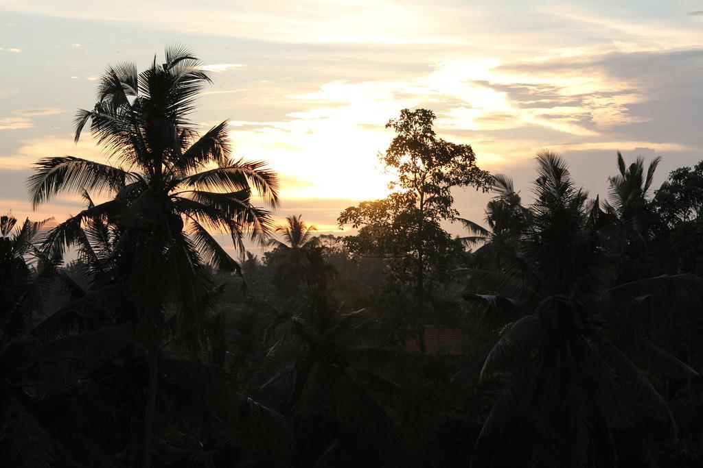 Frangipani Villas Ubud Zewnętrze zdjęcie
