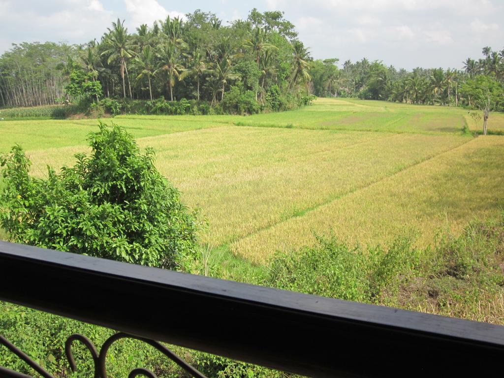 Frangipani Villas Ubud Zewnętrze zdjęcie